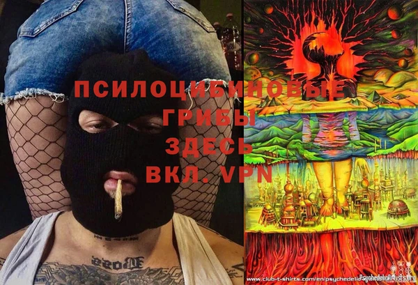 мяу мяу мука Алзамай