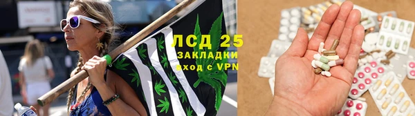 крисы Алексин