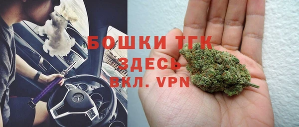 крисы Алексин