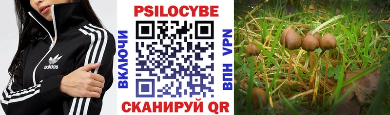 Галлюциногенные грибы Psilocybine cubensis  хочу   Олонец 